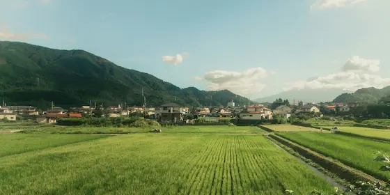 Countryside Experience